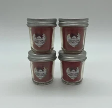 Bath & Body Works CINNAMON FROSTING Mini Mason Jar Candles X4