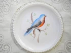 Vintage Westmoreland Beaded Edge Hand Painting Milk Glass Plate, Bluebird  7"