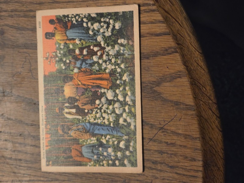 DOWN WHERE THE COTTON BLOSSOMS GROW POSTCARD 1949 PICKING SCENE FAMILY FIELD