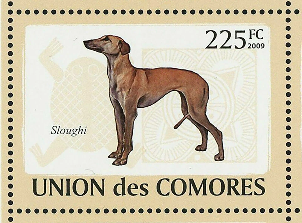 Марка с собаками Aidi Sloughi Boerboel Basenji Azawakh Africanis S/S как новая без наклеек и следов No2135-2140 - Изображение 4 из 4