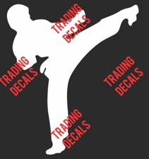 KARATE KICK - Vinyl Car Decal Sticker, Karate Kid Cobra Kai, Vintage Retro Tv 