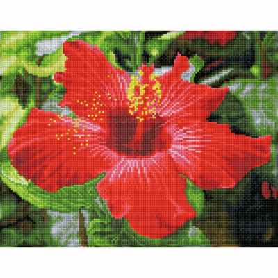 Diamant Dotz Diamond Dotz Quadrate: Hibiskus In Der Bl�te