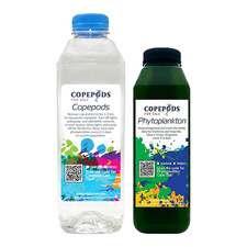 Live Freshwater Copepods 32oz Phytoplankton 16oz - Free Ship
