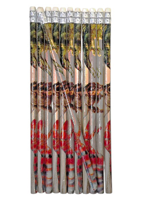 Dinosaur Pencils 24 Pack (Size 7.5''. #2 Lead) Wood with White Top Eraser. Arts
