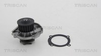 Wasserpumpe MotorküHlung Triscan 8600 15036 FüR Marea Lancia Fiat 58Mm Bravo 1