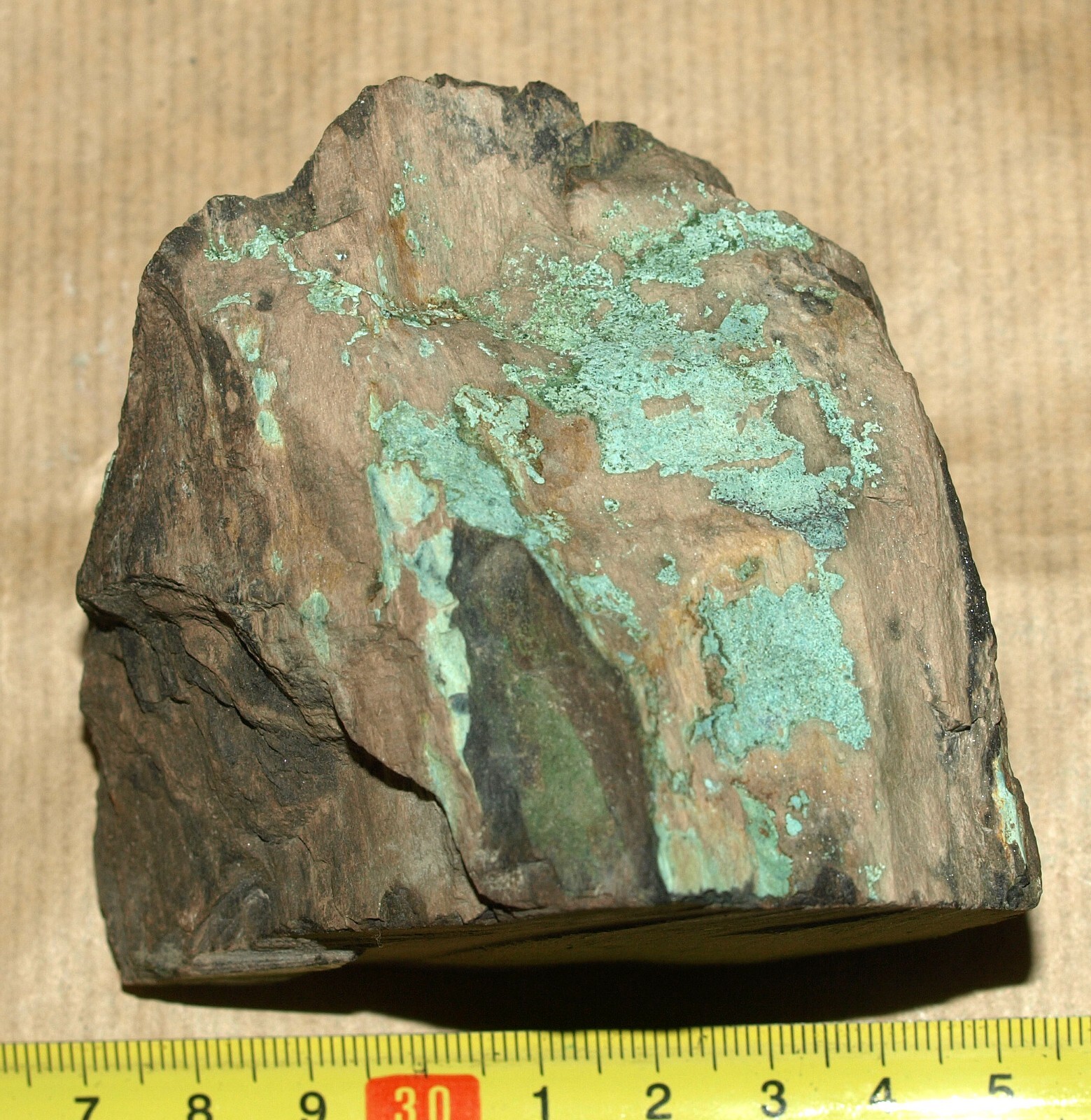 Picture 3 of 17