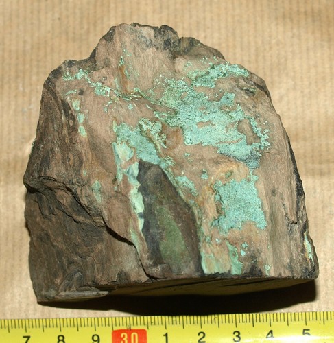 Permian age Petrified Wood, replacement with Azurite and Malachite - Picture 3 of 17
