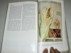 Bild 9 von 12