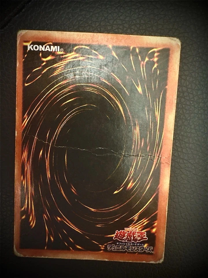 Blue-Eyes White Dragon, foto 3 di 3