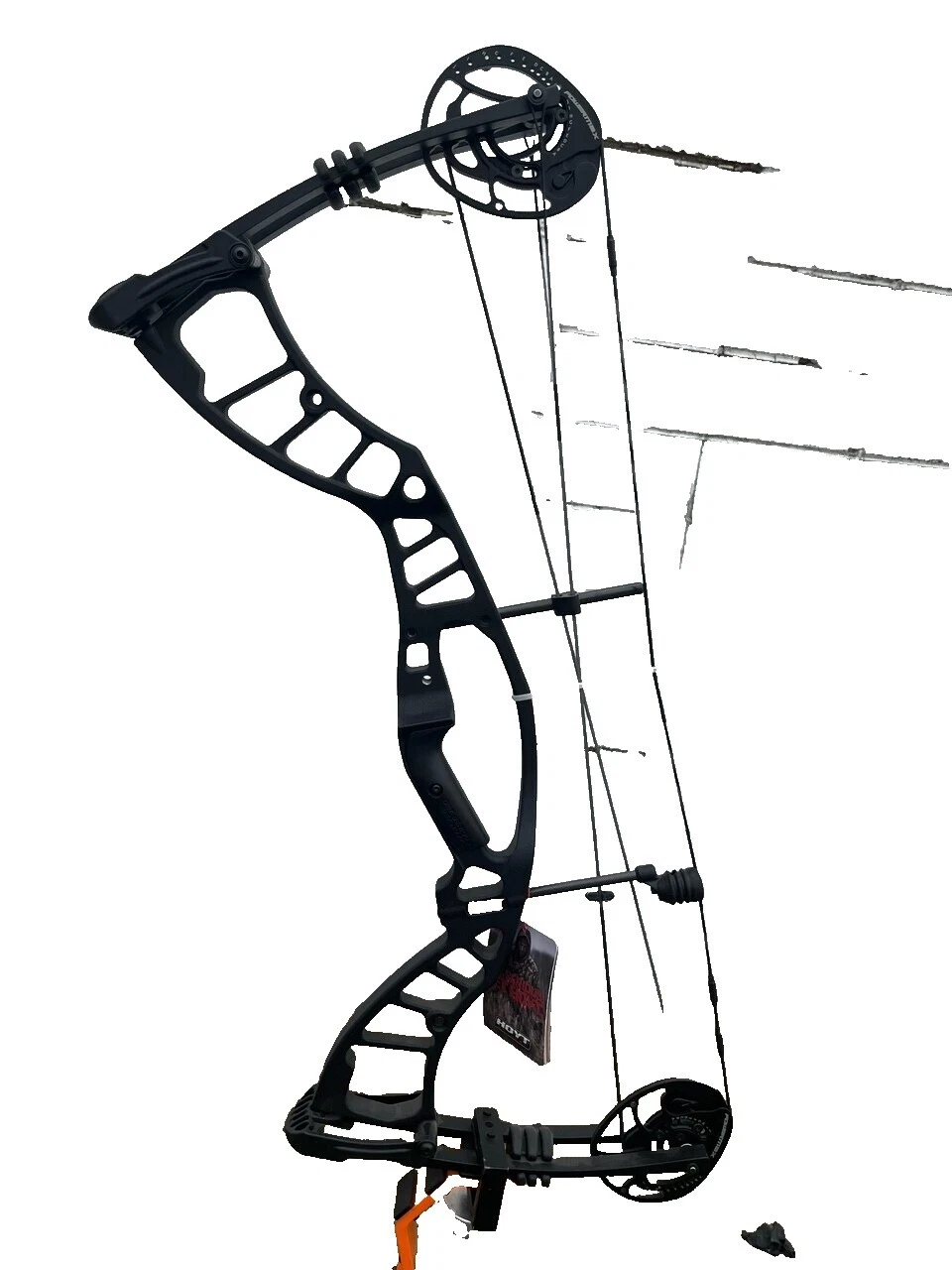 Mano derecha Hoyt Negro Arcos de arquería