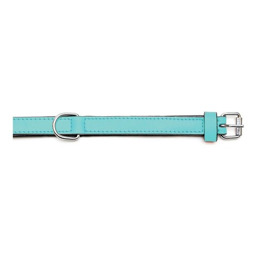 Hundehalsband Gloria Polsterung Turquoise 50 cm (50 x 2,5 cm) - Bild 6 von 7
