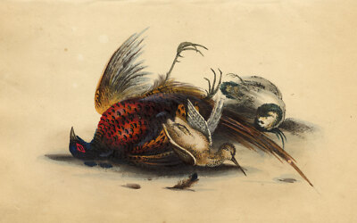 Toter Fasan Spiel Vögel Lithographie Druck um 1820 Original