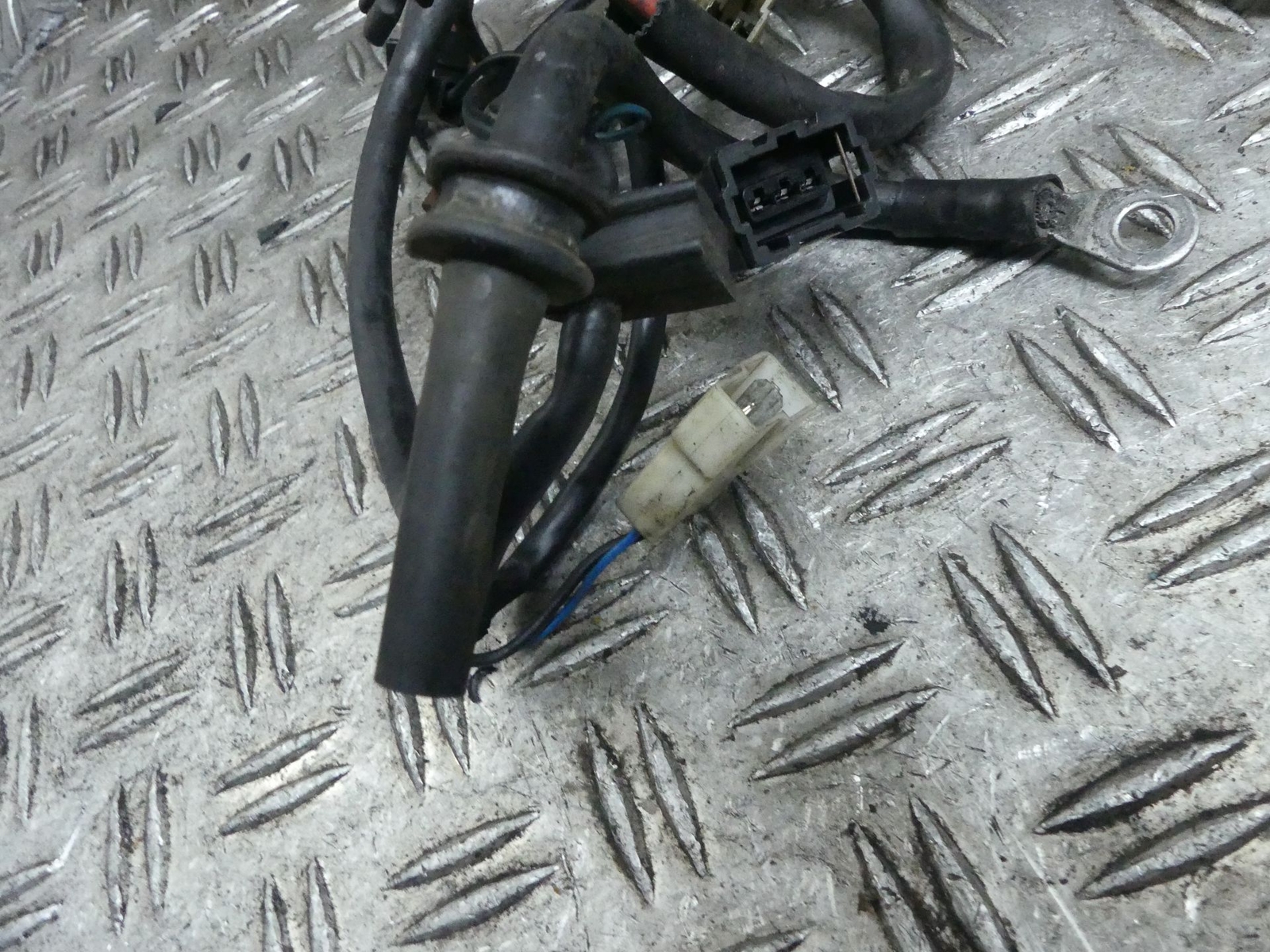 Foto 2 di 12