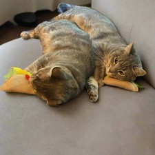Cat Toy Catnip Mexican Tacos Catnip Made in USA - 2 Pack