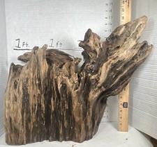 Driftwood aquarium terrarium taxidermy Centerpiece Beautiful Big