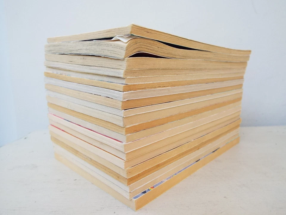 Lot 20 The Adventures of Bailey School Kids Debbie Dadey & Marcia Thornton Jones - Image 2 of 4