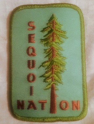 Vintage YMCA Sequoia Nation Tree Patch Badge (2.5x3.5'')