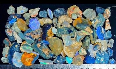1000ct/200g Gamble Opal Parcel Many colors Natural Mined Lightning Ridge 58 TOP