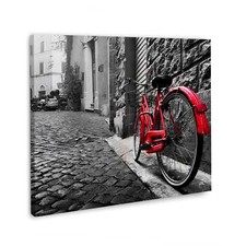 Quadro moderno stampa su tela bicicletta rossa nero bianco canvas
