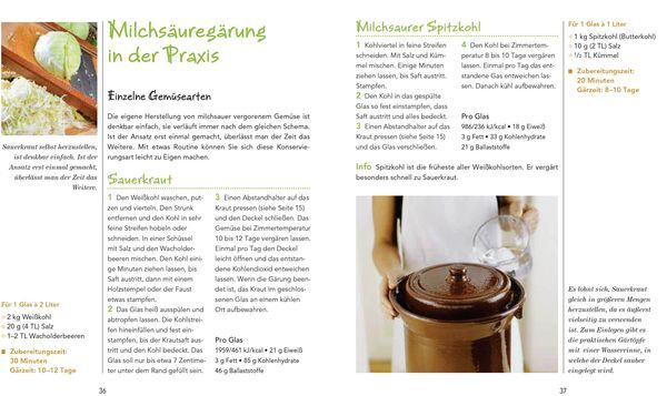 Thumbnail - Gemüse Milchsauer Eingelegt