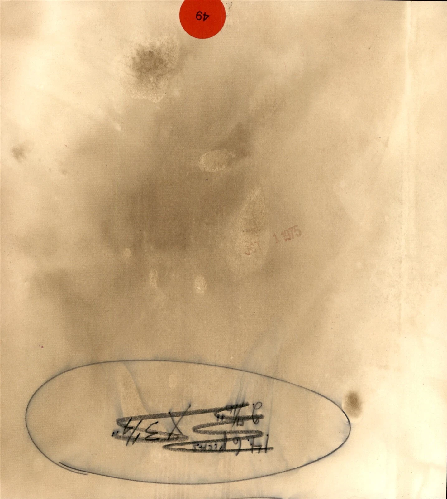 lg49 1975 AP ワイヤー フォト ボクシング チャンプ ムハマド アリ 妻 ベリンダ 到着 マニラ - 画像2/2