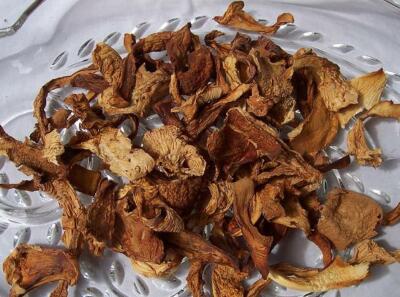 Dried Wild Chanterelle Mushrooms harvest 2021 