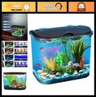 5-Gallon Aquarium Kit with LED Lighting, Power Filter, Ideal for Tropical Fish