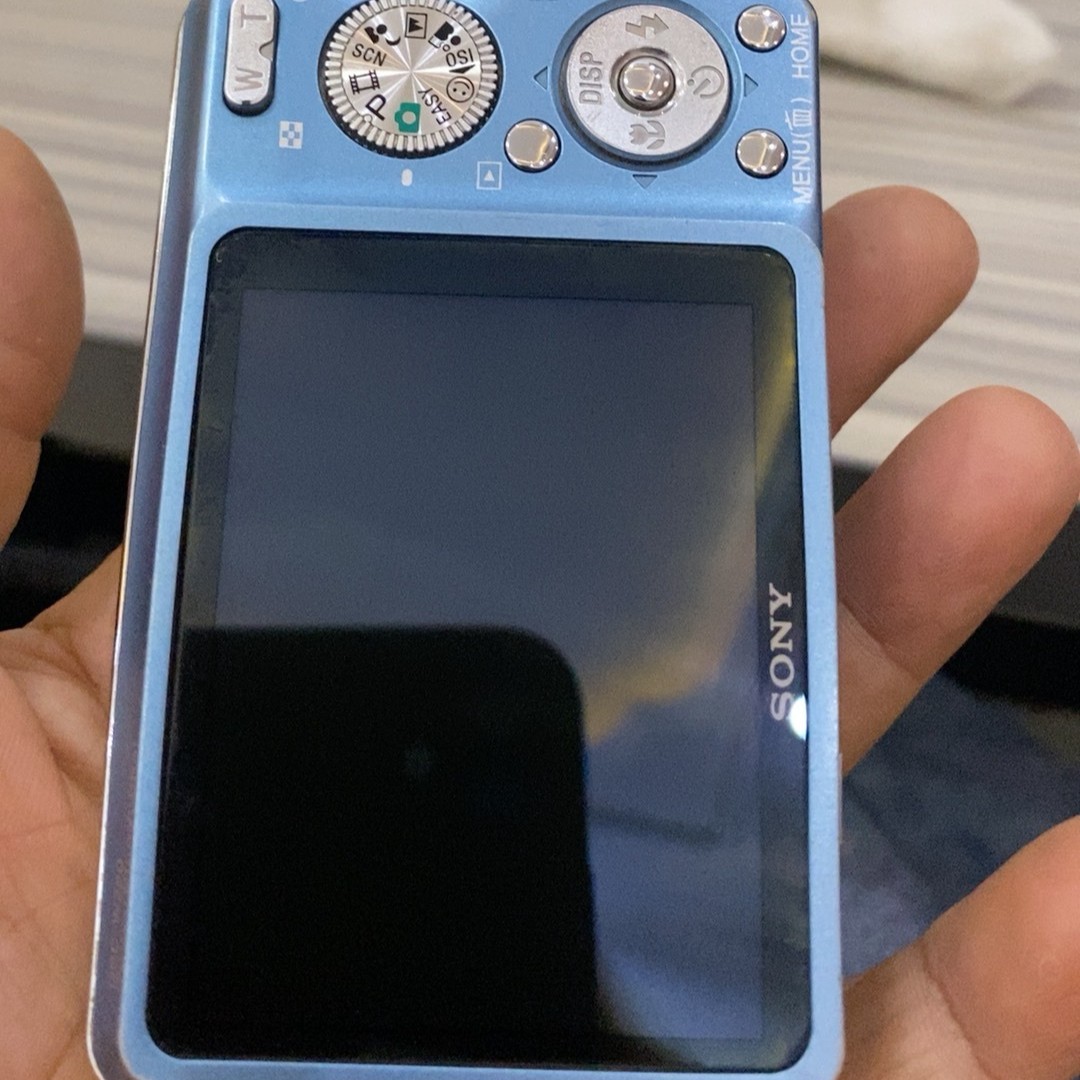 Sony Cyber-Shot DSC-W220 Digital Camera 12.1MP 4x Optical Zoom