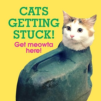 Cats Getting Stuck!: No Author Details, Ebury Press