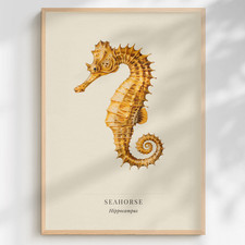 Seahorse Wall Art Marine Life Ocean Animal Natural History Print