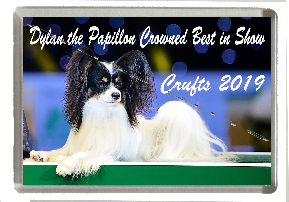 Crufts Dog Show Crufts Tickets 2019 Crufts 2019 Ticket Prices