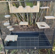 ��Pacchetto da dieci pezzi da gabbia a castello.  Legge cincillà