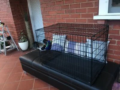 gumtree large dog crate