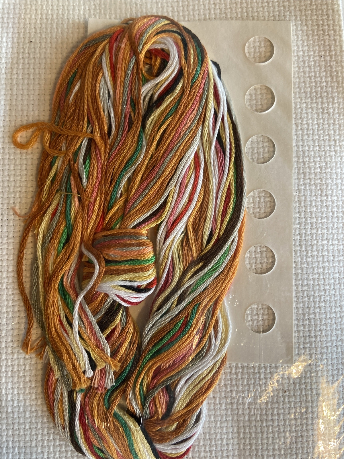 Bild 5 von 5