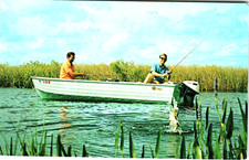 Postcard Bass Fishing Jumping Fishing Fishermen Boat Motor Sportsmen Poles