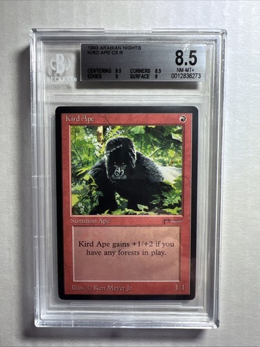 MTG Arabian Nights Kird Ape BGS 8.5 NM/Mint+  (9.5 centering) 1993