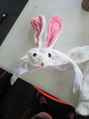 Cat Easter Bunny Ears Small Dogs Easter Rabbit Ear Costume Pet Cats Bunnys Rabbi