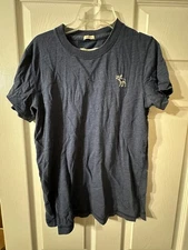 Abercrombie & Fitch T Shirt Mens Size M Blue Muscle Fit
