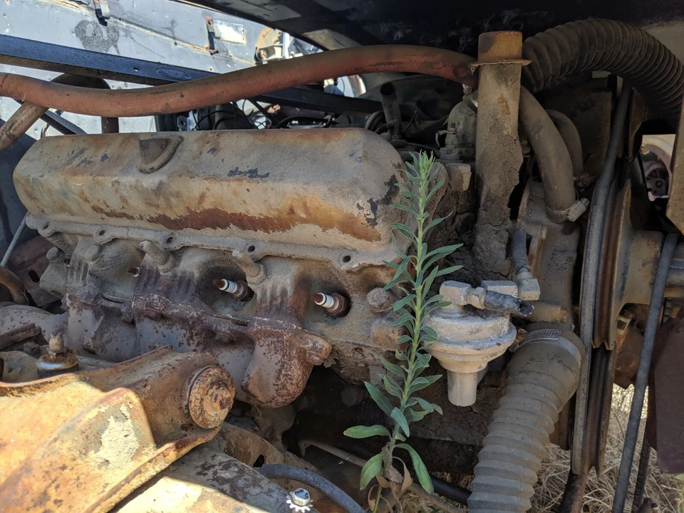 1965 OLDSMOBILE CUTLASS F85 4DR SEDAN MISC NUTS & BOLTS PARTING OUT COMPLETE CAR - Image 4 of 4