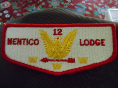 Nentico 12 flap s1 OAE