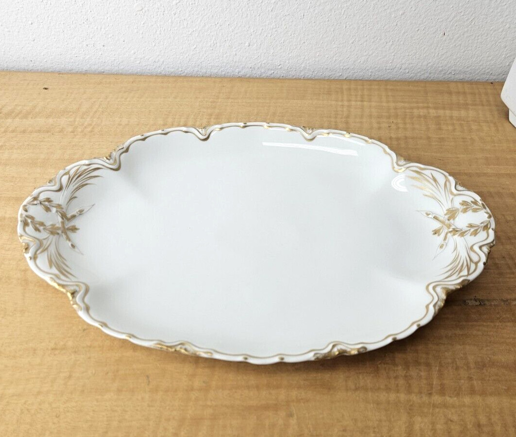 Haviland Limoges 