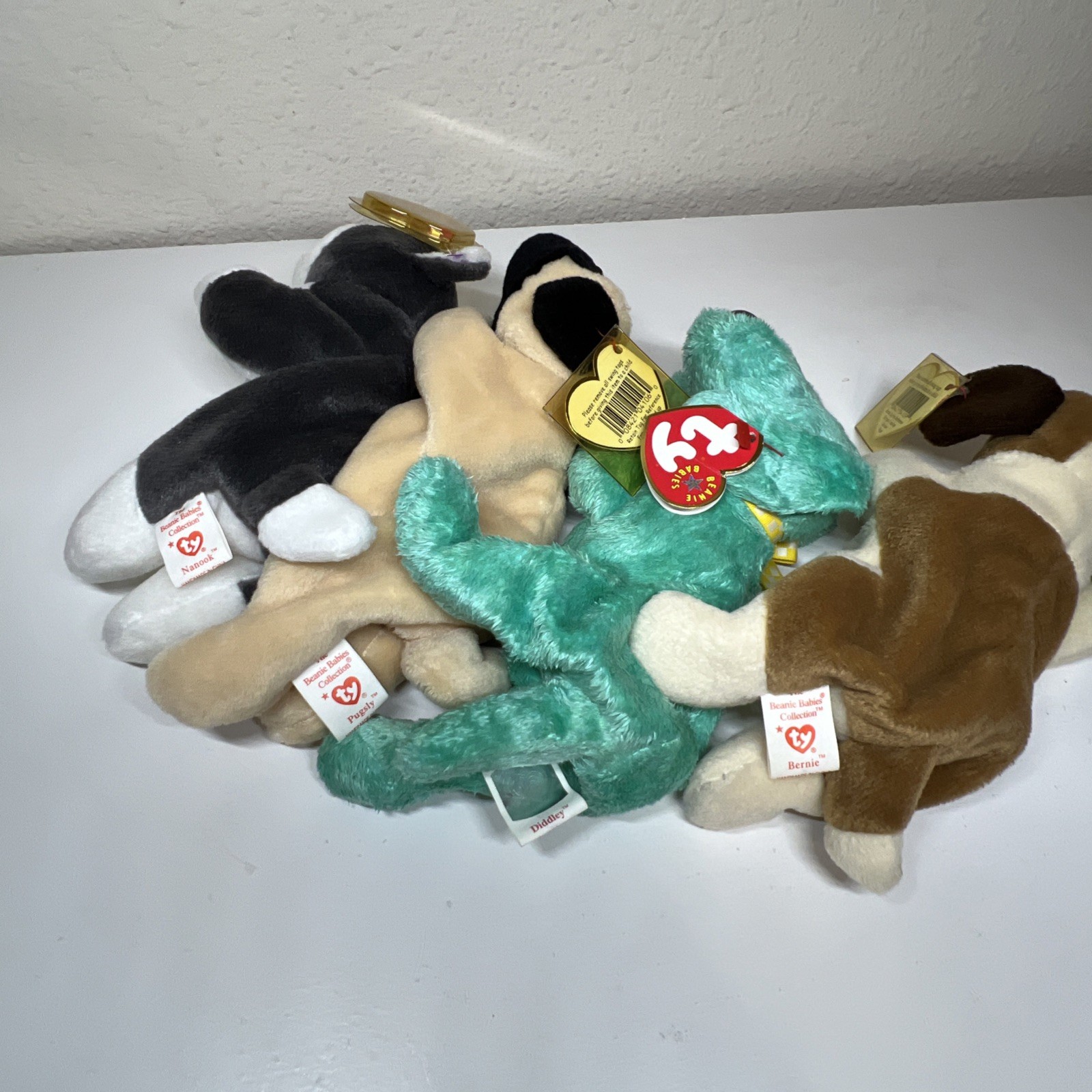 Bild 10 von 10