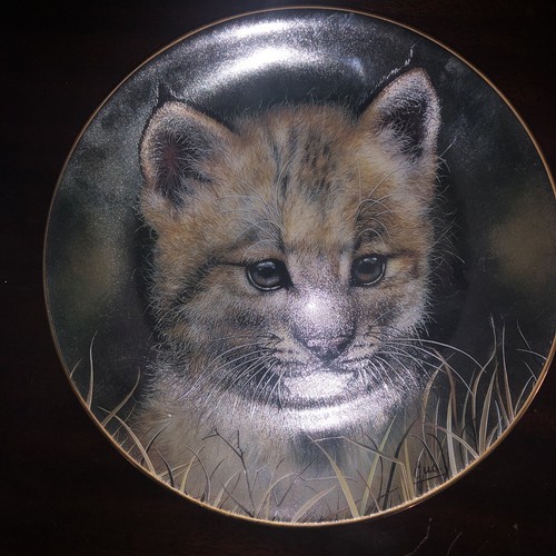 Cubs of the Big Cats - Lynx Cub 1992 LIMITED EDITION Collectors Plate