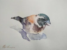 Cape Sparrow, Birds, Watercolor artwork, Handmade, Original painting on paper