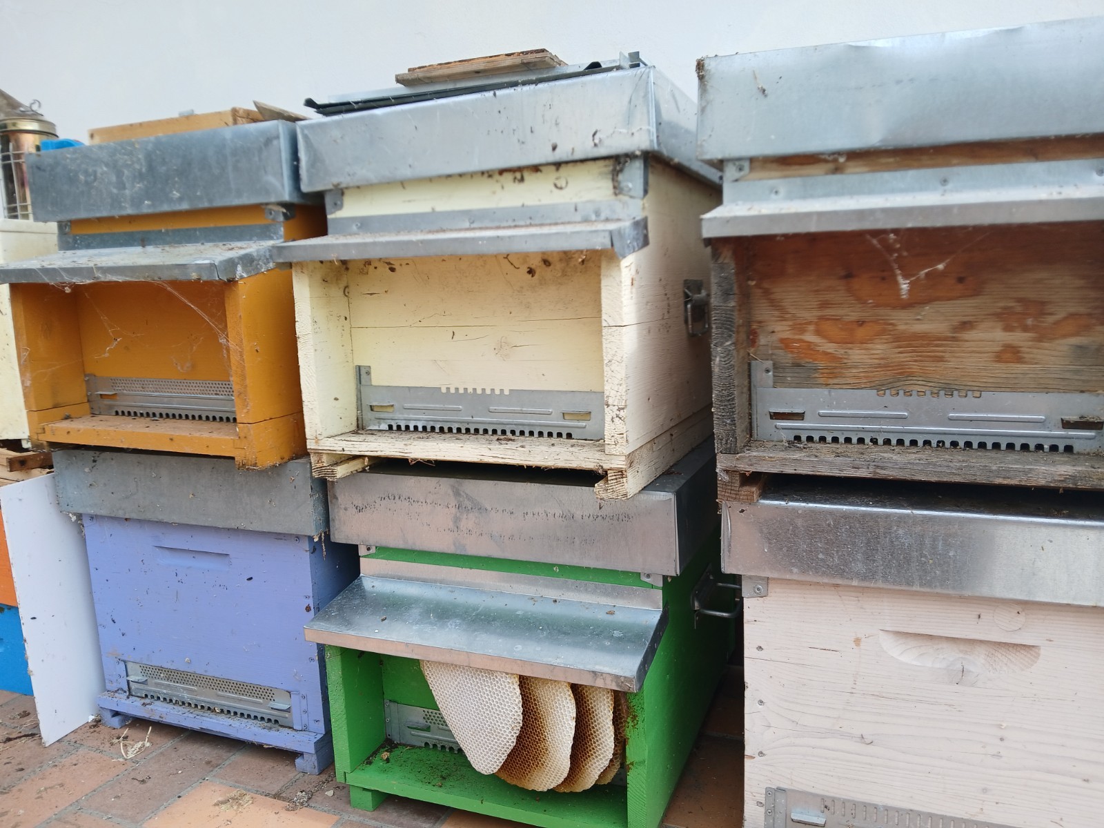 alveari Bee Hives