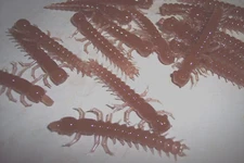 25 Lures 2" Hellgrammite Lure Insect Larva Trout Fishing Lure Bass Crappie Lure