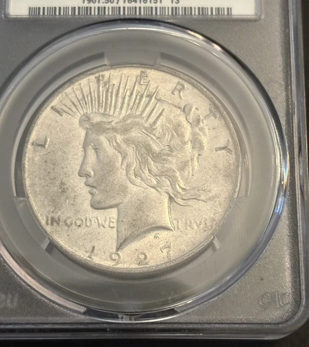 1927 D Peace Silver Dollar CAC  AU50