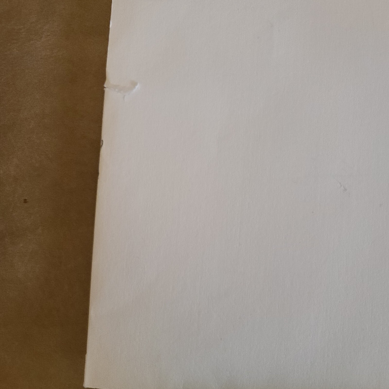 Picture 12 of 24