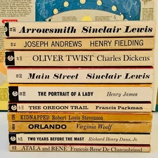 Lot of 10 Vintage Paperback Books SIGNET CLASSICS 60s Instant Library Book Decor