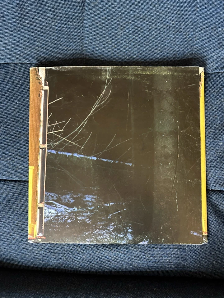 LP Cranberries Vinyl The Faithful Departed Special Edition 1996 Poster LP Cover - Bild 3 von 4